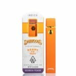 Dabwoods Disposable Full Gram Vape - Georgia Peach - Officialdabwoods